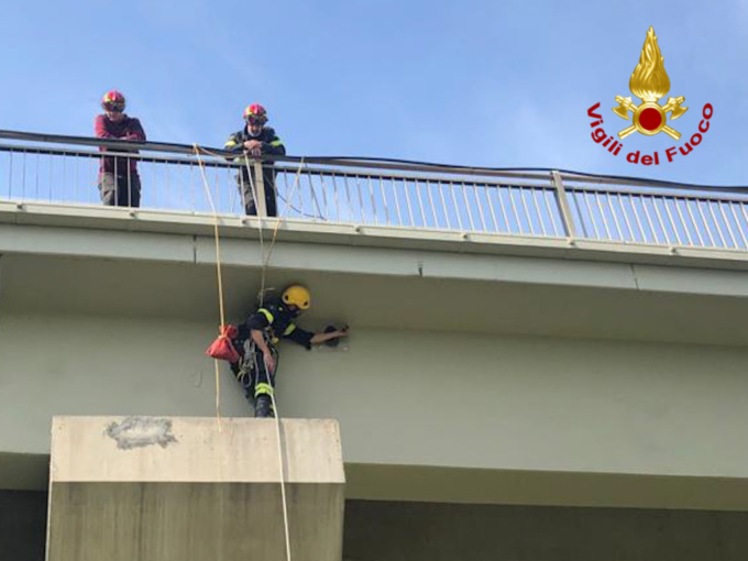 Rimane incastrato nella rete, viene sfamato da altri piccioni per 15 giorni: colombo salvato dai pompieri