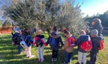 Coldiretti Verona: avviati nelle scuole i laboratori per 2000 studenti, progetto“semi’nsegni”