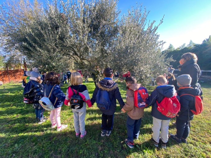 Coldiretti Verona: avviati nelle scuole i laboratori per 2000 studenti, progetto“semi’nsegni”