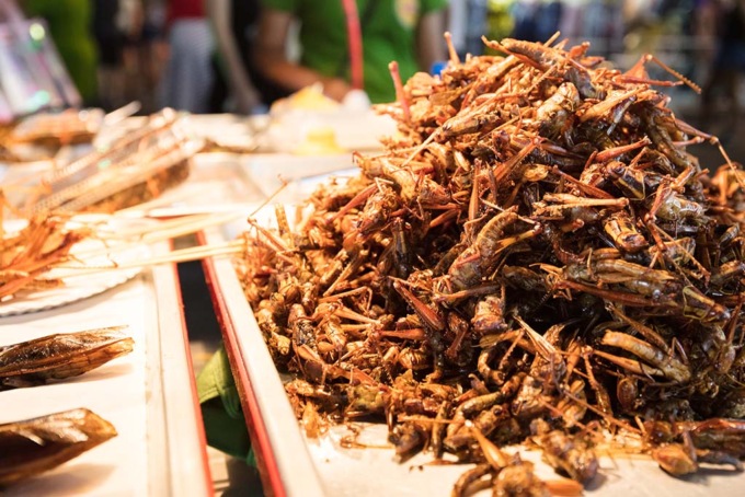 Insetti edibili? Facciamo chiarezza sul perché sono un alimento importante