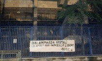 Al Bentegodi striscione animalista contro Ibrahimovic: “Ammazza gli animali, lo sport non cancella l'odore"