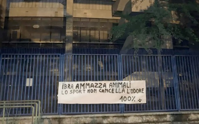 Al Bentegodi striscione animalista contro Ibrahimovic: “Ammazza gli animali, lo sport non cancella l’odore”