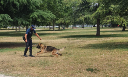 In campo anche il cane Axel per scovare eventuali spacciatori nel parco San Giacomo