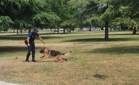 In campo anche il cane Axel per scovare eventuali spacciatori nel parco San Giacomo