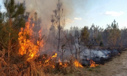 Incendi boschivi, dichiarato lo stato di grave pericolosità anche a Verona
