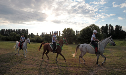 Sport equestri, Fieracavalli organizza il Mondiale Endurance 2022