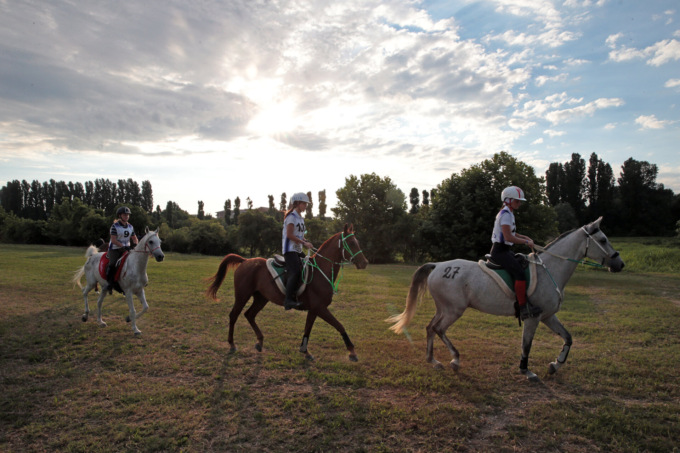 Sport equestri, Fieracavalli organizza il Mondiale Endurance 2022