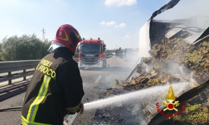 Legnago, foto e video dell'autoarticolato in fiamme sulla Transpolesana 434