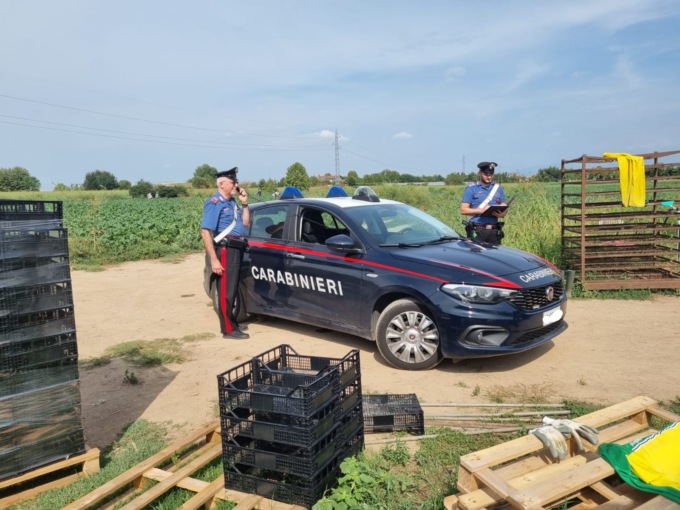 Buttapietra, manodopera irregolare: sospesa l’attività nell’azienda agricola