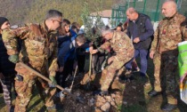 Giornata nazionale degli alberi: 300 nuovi ulivi sul versante ovest della base di Lughezzano