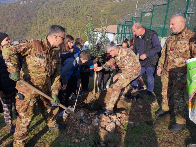 Giornata nazionale degli alberi: 300 nuovi ulivi sul versante ovest della base di Lughezzano