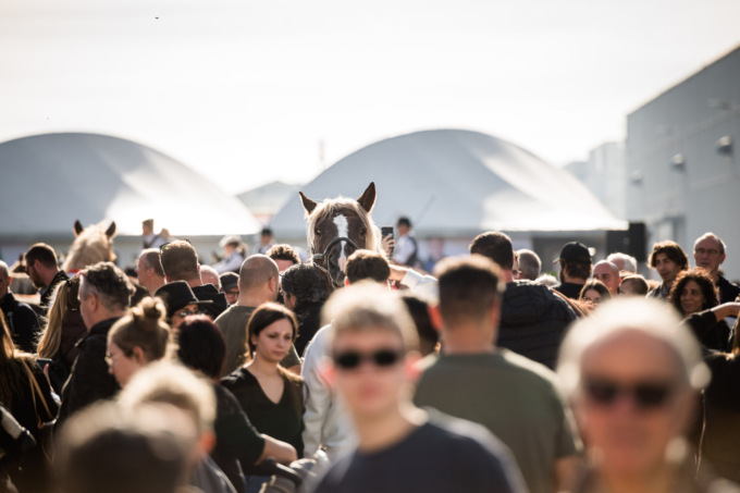 Fieracavalli 2022 e disagi alla viabilità: volano gli stracci tra Giunta e minoranza in Consiglio
