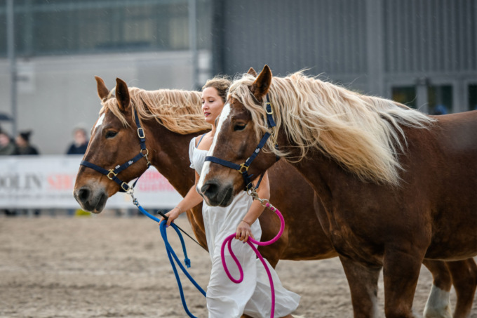 Fieracavalli Verona 2022 registra il tutto esaurito: 140mila persone da 57 Paesi