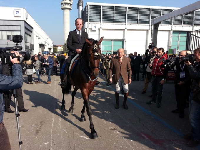 Fieracavalli 2022: consigli sulla viabilità dalla Polizia locale