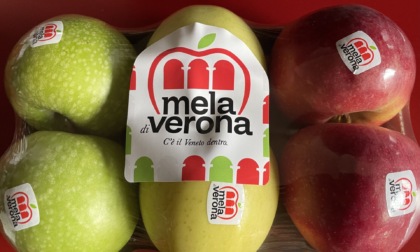 Tutti pazzi per la mela di Verona: un frutto con "il Veneto dentro"