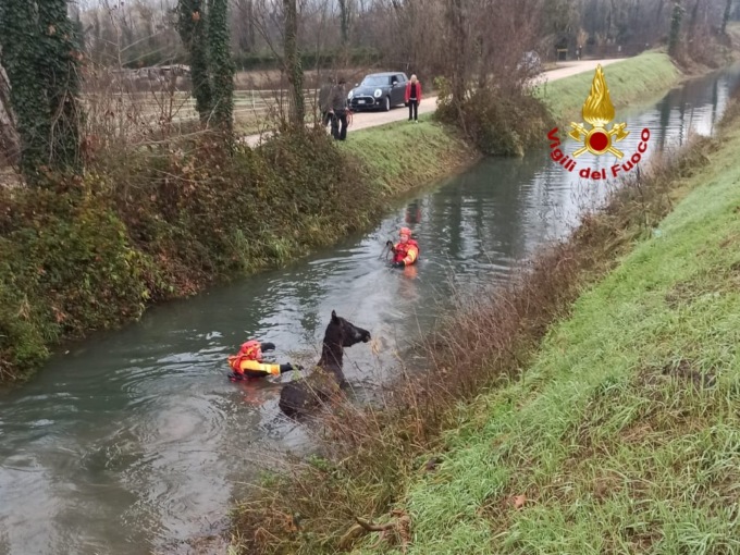 Le foto dell’incredibile salvataggio della cavalla finita in un fosso