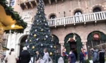 Ladra rumena (recidiva) in azione ai Mercatini di Natale