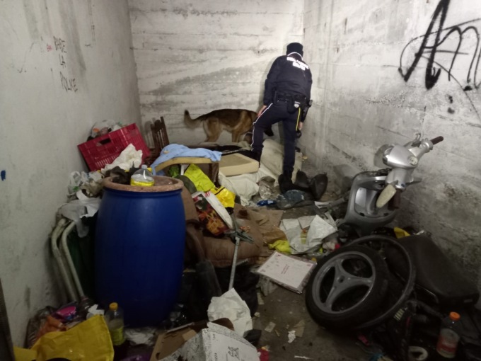 Il fiuto di Pico e Axel porta gli agenti della locale nella “tana” dei Nordafricani