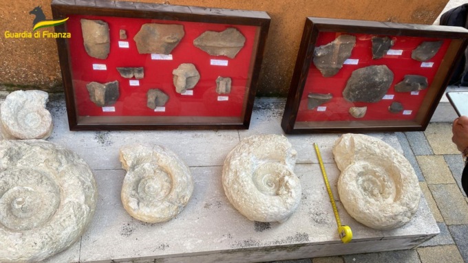 Lo strano caso dell’anziano con la casa piena di reperti archeologici dell’era Mesozoica