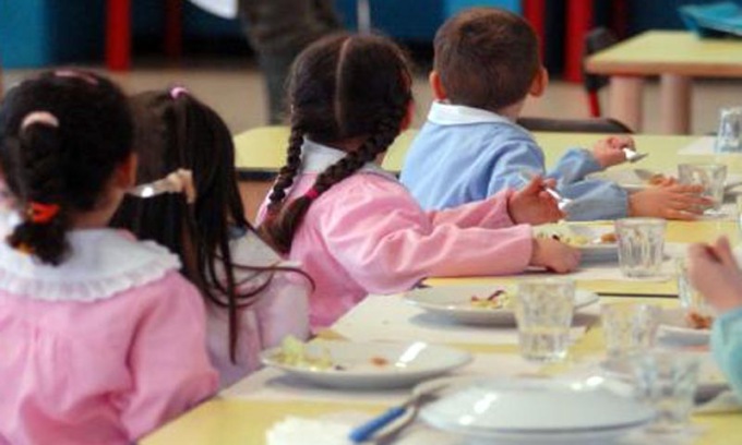Pollo marcio e scarafaggi nelle verdure: mensa scolastica degli orrori nel Veronese