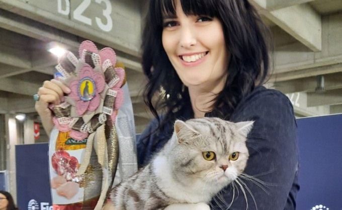 Gatto più bello del mondo: premiato il veronese Galak (meraviglioso)