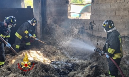 Inferno di fuoco in una stalla: in fiamme un mezzo agricolo