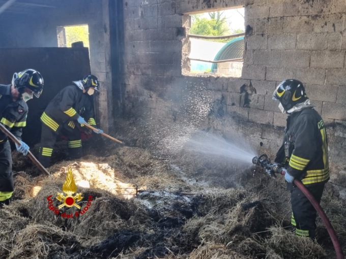 Inferno di fuoco in una stalla: in fiamme un mezzo agricolo