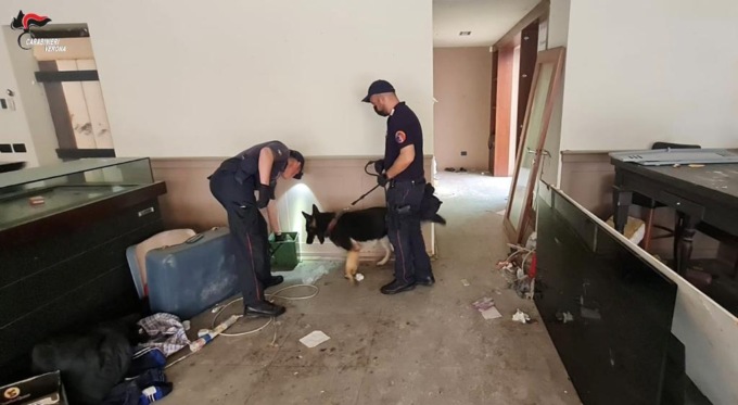 Clandestini, droga, degrado e il fiuto del cane “Zico”: stretta di controlli a San Bonifacio e dintorni