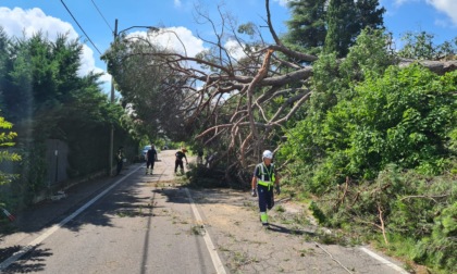 Maltempo a Verona, Zaia: "Anche questi danni saranno inseriti nello stato di emergenza"