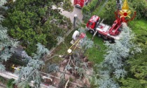 Ancora danni per il maltempo: caduto un albero nel canale Camuzzoni