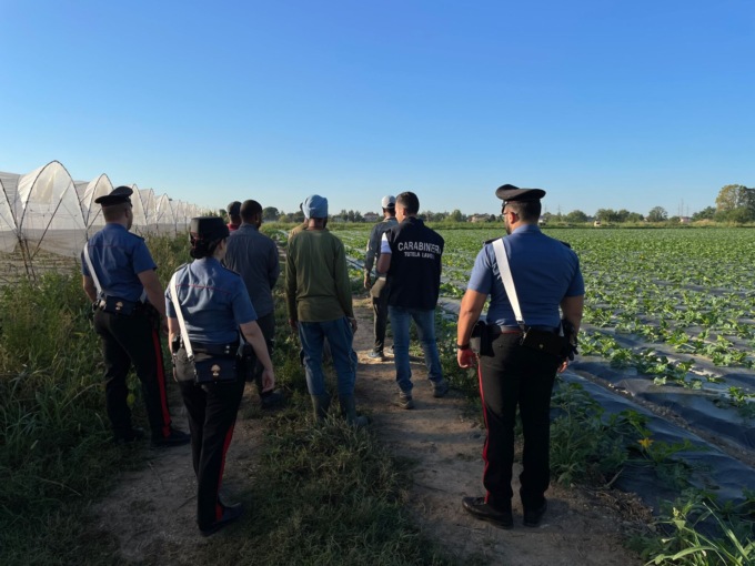 Moderni “schiavi” del lavoro a Buttapietra e San Giovanni Lupatoto: braccianti agricoli sfruttati dal “caporale” indiano
