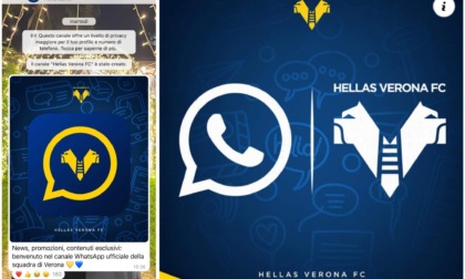 Hellas Verona sbarca su Whatsapp: ecco come iscriversi al canale e come funzionerà
