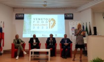 Veneto Food Excellence 2023, premiati 11 ristoranti veronesi. Ecco quali
