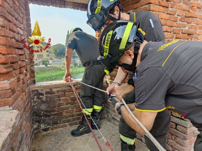 Il cane precipita dal ponte di Castelvecchio e la padrona si tuffa per salvarlo