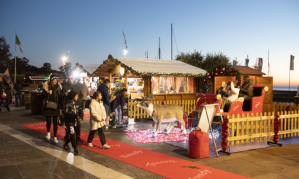 A Verona arrivano finalmente i mercatini di Natale, ecco come cambia la viabilità in piazza Bra nei weekend