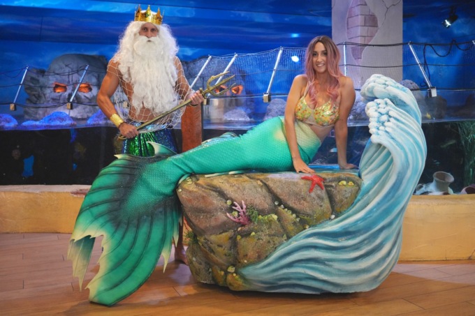 Gardaland Sea Life Aquarium, a novembre quattro nuovi eventi dedicati alla scoperta dell’ambiente marino