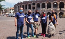 Verona tra i Comuni vincitori del premio Plastic Free, approvato anche il nuovo regolamento rifiuti