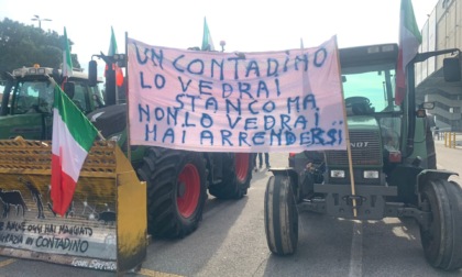 Al via Fieragricola di Verona, ai cancelli il presidio dei trattori in protesta