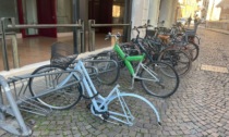 Ladri di biciclette a Verona, un fenomeno senza fine
