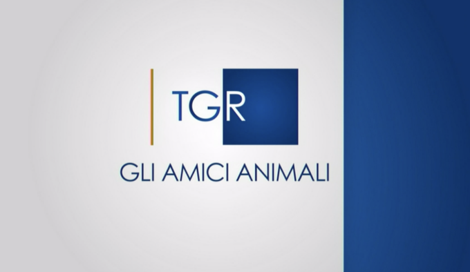 Cura e benessere in stalla: l’allevamento veronese di Arianna Nordera protagonista della puntata di “amici animali” su Rai 3