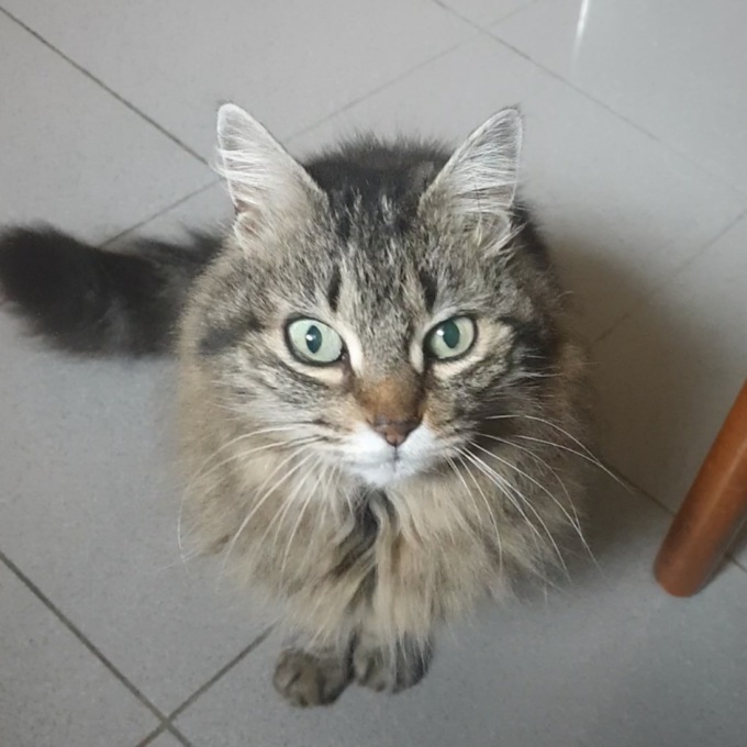 Claretta