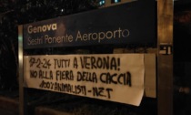 Chiamata alle armi degli animalisti da Genova a Bergamo: "Tutti a Verona per fermare la fiera della caccia"
