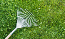 I benefici dell’erba sintetica per gli spazi verdi di piccole dimensioni