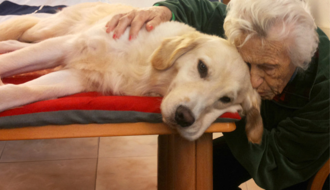 Una zampa può fare la differenza: pet therapy alla Casa di Riposo Benedetto Albertini