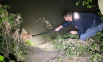 Scivola nel fiume Adige e rischia l'ipotermia, 39enne salvato... dalla cintura del poliziotto