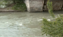 Si getta nell'Adige per scappare dalla Polizia dopo un furto, ma il fiume lo trascina via: ricerche in corso con l'elicottero