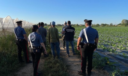 Operai irregolari sfruttati e sottopagati nei campi veronesi, stanata associazione a delinquere