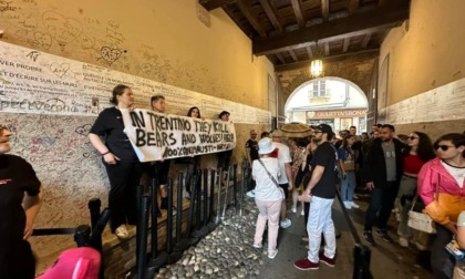 Animalisti in protesta davanti alla Casa di Giulietta contro le politiche del Trentino su orsi e lupi