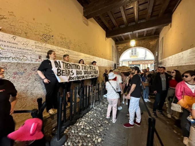 Animalisti in protesta davanti alla Casa di Giulietta contro le politiche del Trentino su orsi e lupi