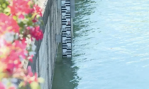 Ancora alto il livello delle acque del Lago di Garda, preoccupazione per l'erosione delle spiagge
